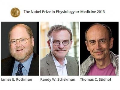  برندگان جایزه نوبل پزشکی 2013
