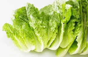 مغز کاهو را نخورید