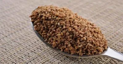 معجزه های گیاه زنیان