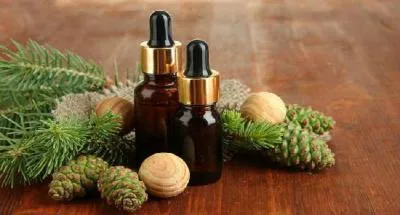 خواص روغن رزماری چیست؟