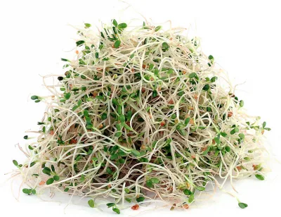 استحکام استخوان کودکان، رفع خستگی و تقویت بدن با این سبزی