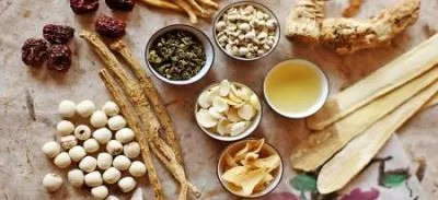 توصیه‌های طب سنتی برای مزاج‌های مختلف
