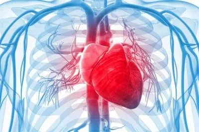 علائم بزرگ شدن قلب چیست؟