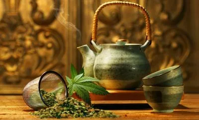 آغاز دوباره عصر طب سنتی