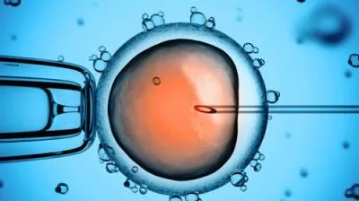 بچه دار شدن با IVF