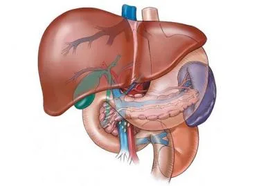 تاثیرکبد بیمار بر ایجاد سنگ در کلیه