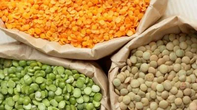 رفع سوء‌تغذیه با مصرف عدس