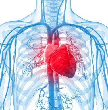 دلایل گرفتگی رگ قلب چیست؟