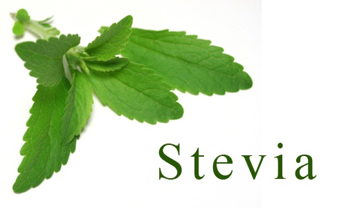 stevia-healthy-nutrition