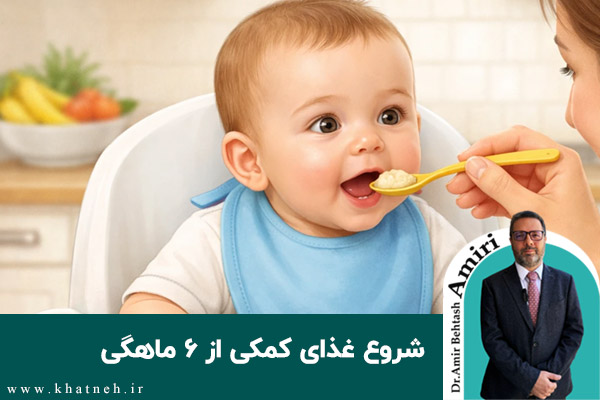  شروع غذای کمکی از ۶ ماهگی