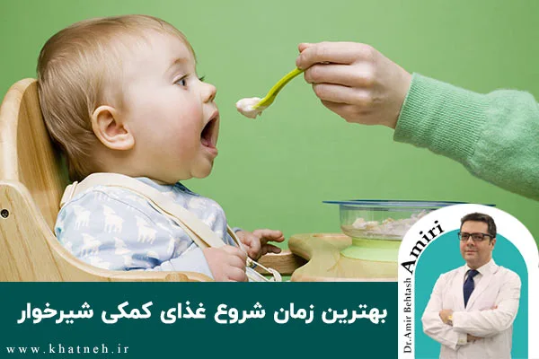 بهترین زمان شروع غذای کمکی شیرخوار