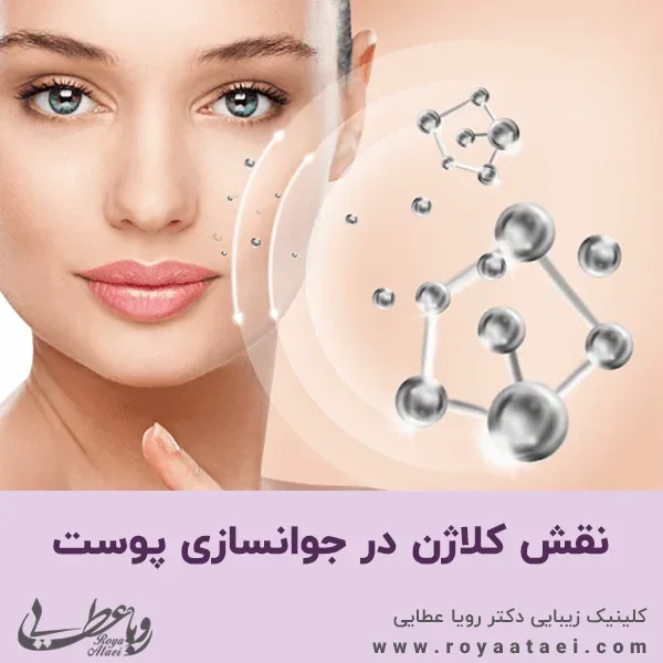 نقش کلاژن در جوانسازی پوست