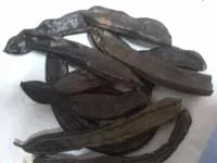 فروش گیاه خرنوب ترکیه ای"کچی بوینزی" وشیره  خرنوب