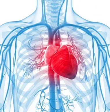 دلایل گرفتگی رگ قلب چیست؟