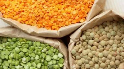رفع سوء‌تغذیه با مصرف عدس