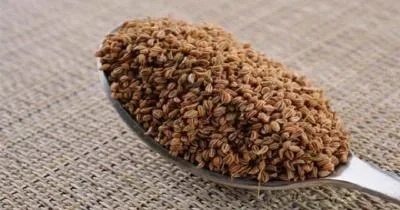 معجزه های گیاه زنیان