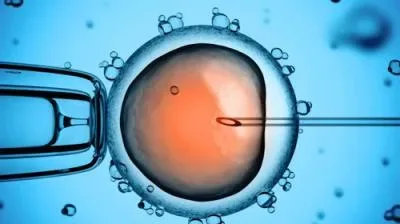 بچه دار شدن با IVF