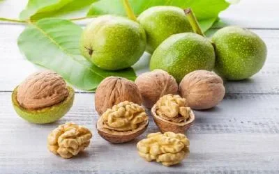 کلید کاهش کلسترول خون